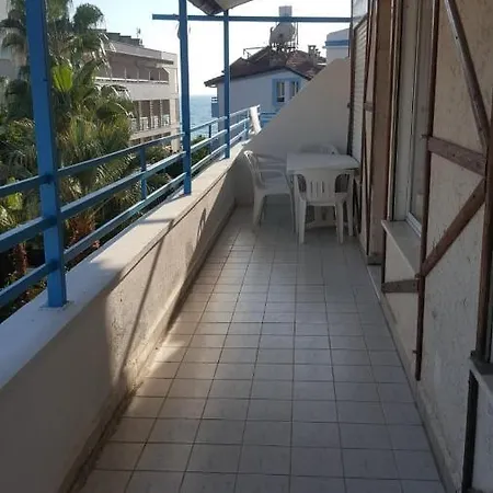 塞得海豚酒店
