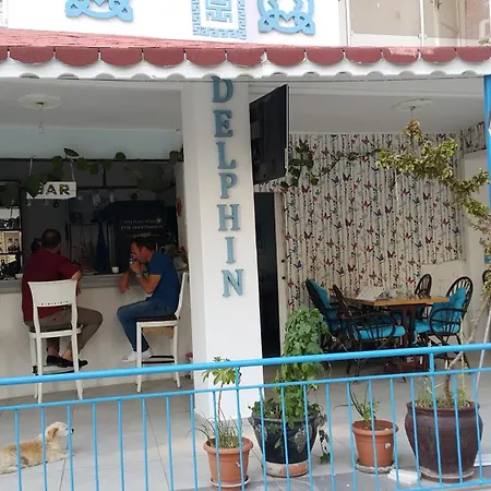 酒店 塞得海豚酒店