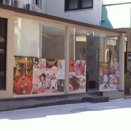 酒店 塞得海豚酒店 2*