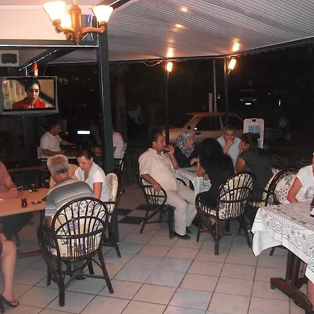 酒店 塞得海豚酒店