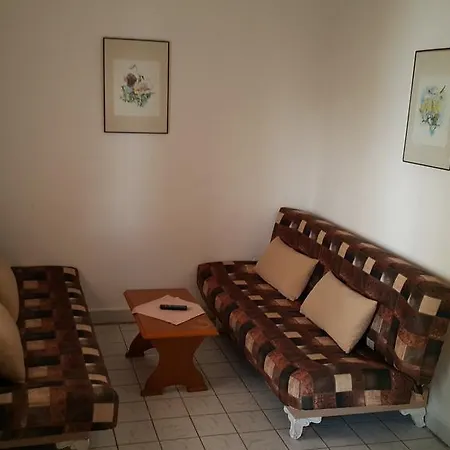 塞得海豚酒店 酒店